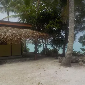 Hiva Parea